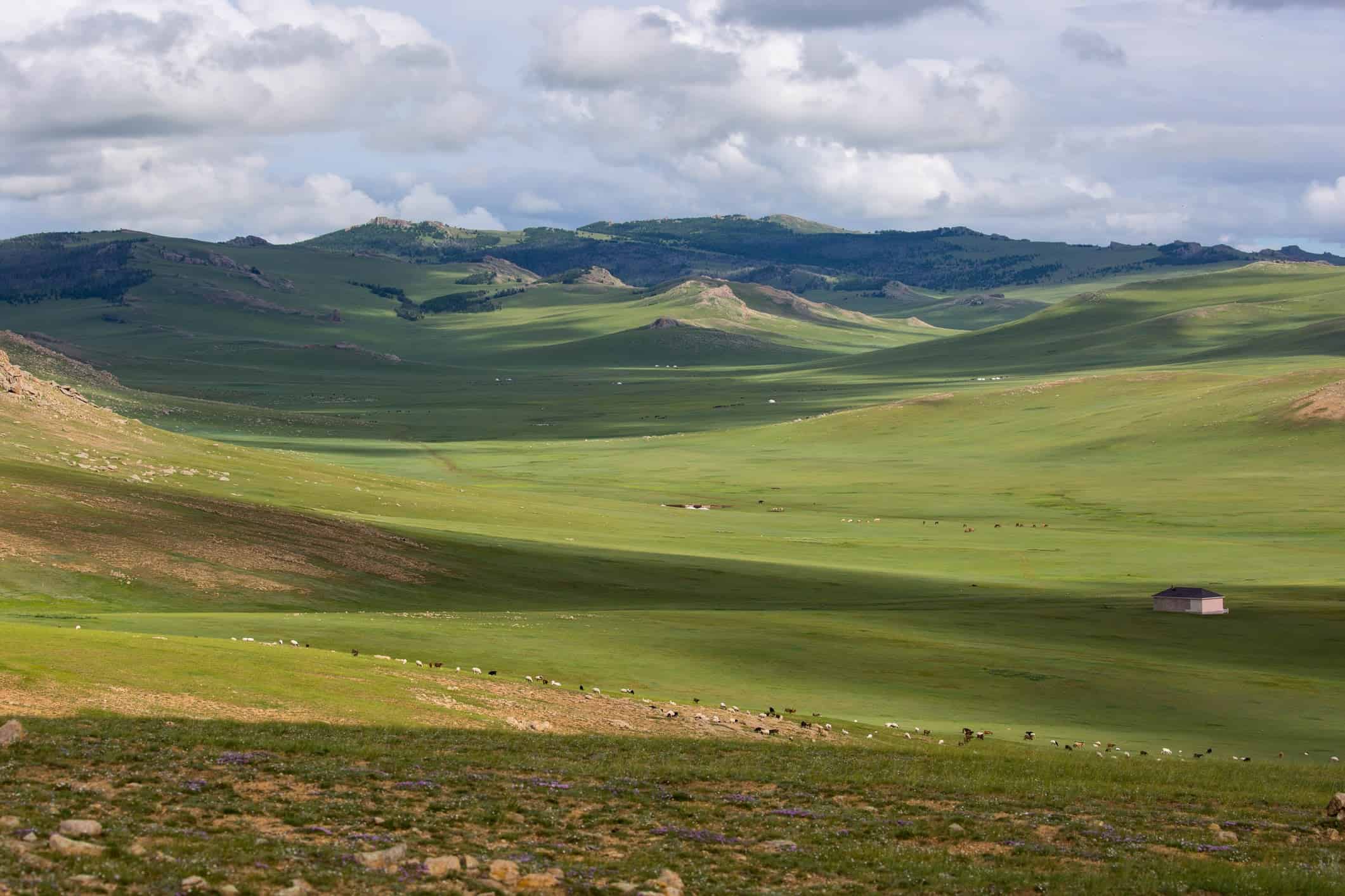 De enorme groene uitgestrektheid van de steppe in Mongolië met een bewolkte lucht erboven